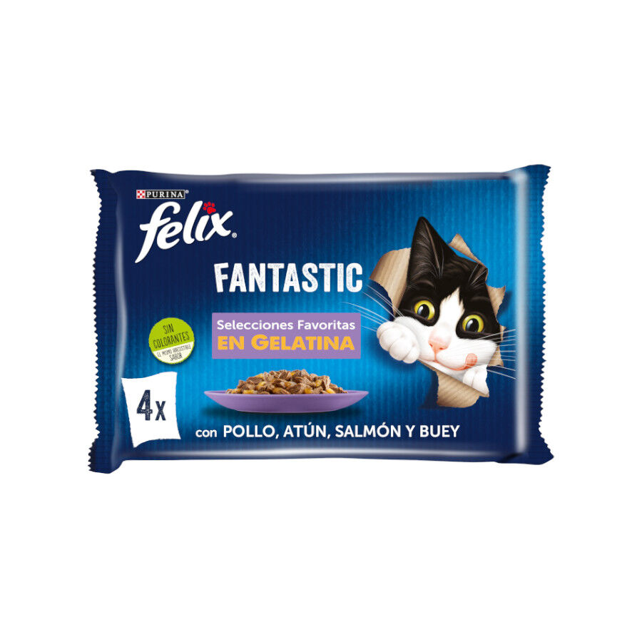 Felix Fantastic Selecciones Favoritas sobres en gelatina thumbnail