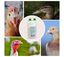Neorespir 250 ml - Expectorante Preventivo de Las Patologías Respiratorias En Aves de Corral - Mucolítico para Gallinas, , large indicador imagen numero 3