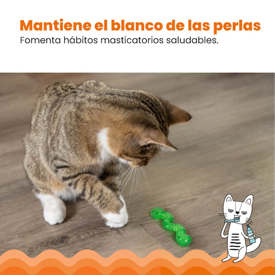 Catstages OrkaKat Gusano de Goma para gatos thumbnail