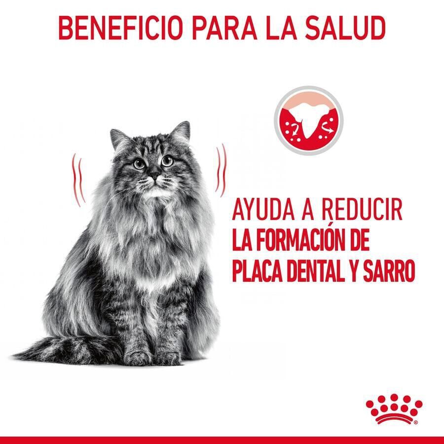 Royal Canin Adult Oral pienso para gatos thumbnail