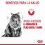 8 kg Royal Canin Adult Oral pienso para gatos, , large indicador imagen numero 4
