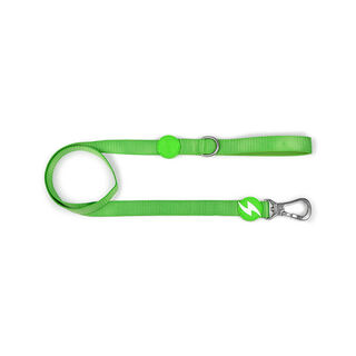 Correa de nylon para perro color Verde