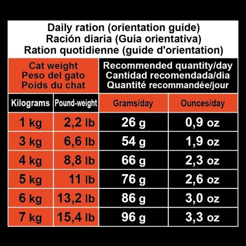 Pienso para gatos adultos sabor Pavo, , large Imagen numero 3