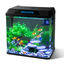 Nobleza - 30L Acuarios y Peceras Completas, Peceras de Cristal con Sistema de Filtrado Integrado e Iluminación LED, Acuarios de Iniciación, Negro, , large indicador imagen numero 1