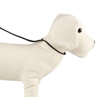 TK-Pet Collar con Correa de Exposición Negro para perros