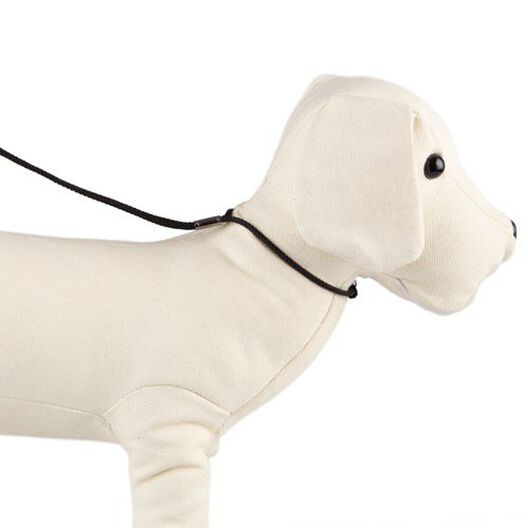 TK-Pet negro collar-correa de exposición perros image number null