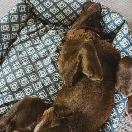 Cama impermeable Ikat para perros color Verde, , large Imagen numero 3