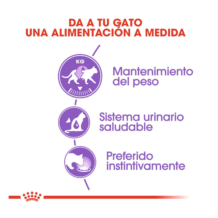 Royal Canin Sterilised gelatina sobres para gato thumbnail