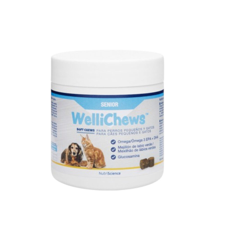 Swedencare Wellichews Suplemento Movilidad para perros y gatos senior, , large Imagen numero 1