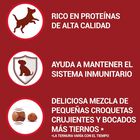 Purina One Mini Active Pollo pienso para perros, , large image number null