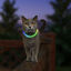 Nite Ize NiteMeow Collar de Seguridad LED para gatos, , large indicador imagen numero 2