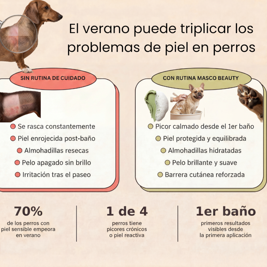 Masco Beauty Kit Antipicores para perros, , large Imagen numero 2