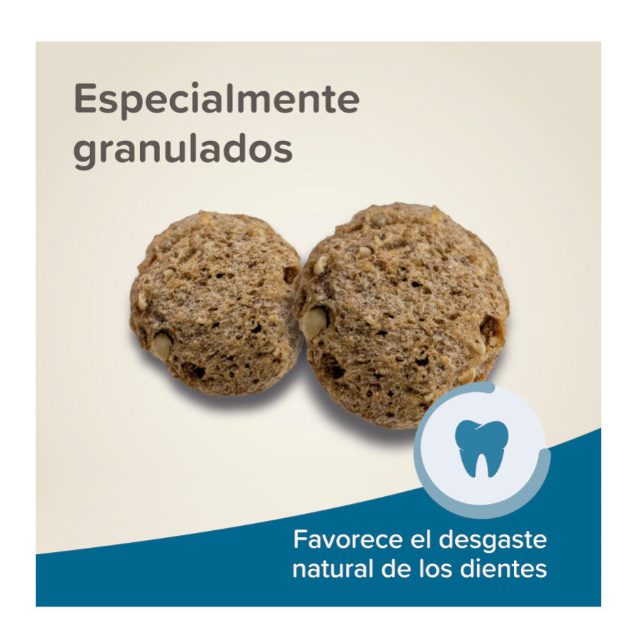 Beaphar Care+ Pienso para ratones y jerbos thumbnail