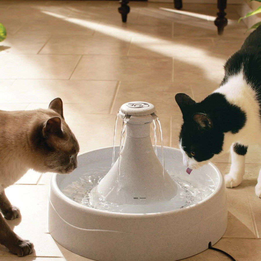 Petsafe Drinkwell Fuente Bebedero para perros y gatos, , large Imagen numero 2