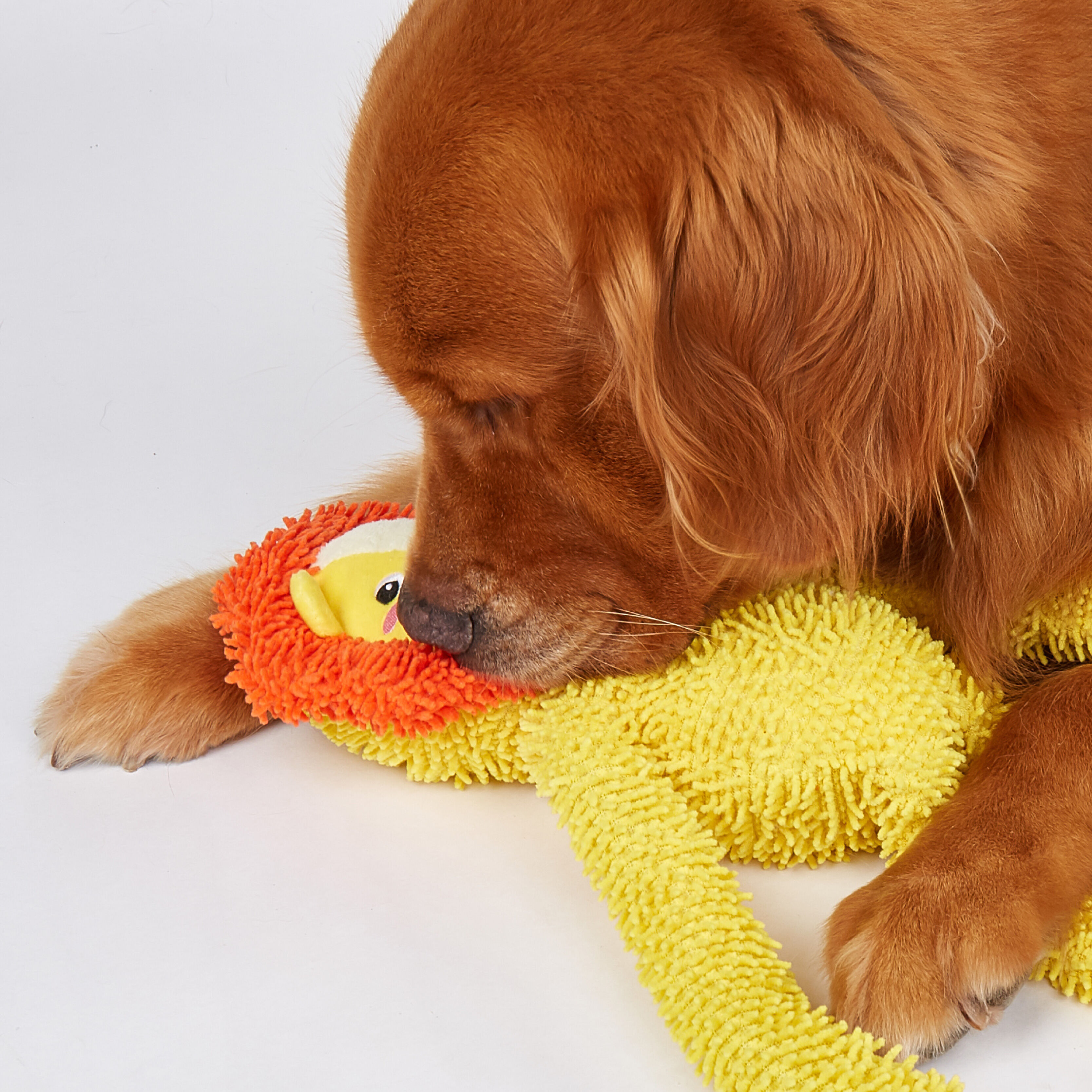 Juguete Resistente para Perro &ndash; Le&oacute;n de Cuerpo Largo, , large Imagen numero 4