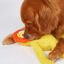 Juguete Resistente para Perro &ndash; Le&oacute;n de Cuerpo Largo, , large indicador imagen numero 4