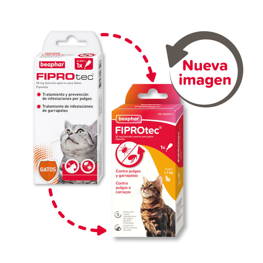 Beaphar Fiprotec Pipetas Antiparasitarias para gatos thumbnail