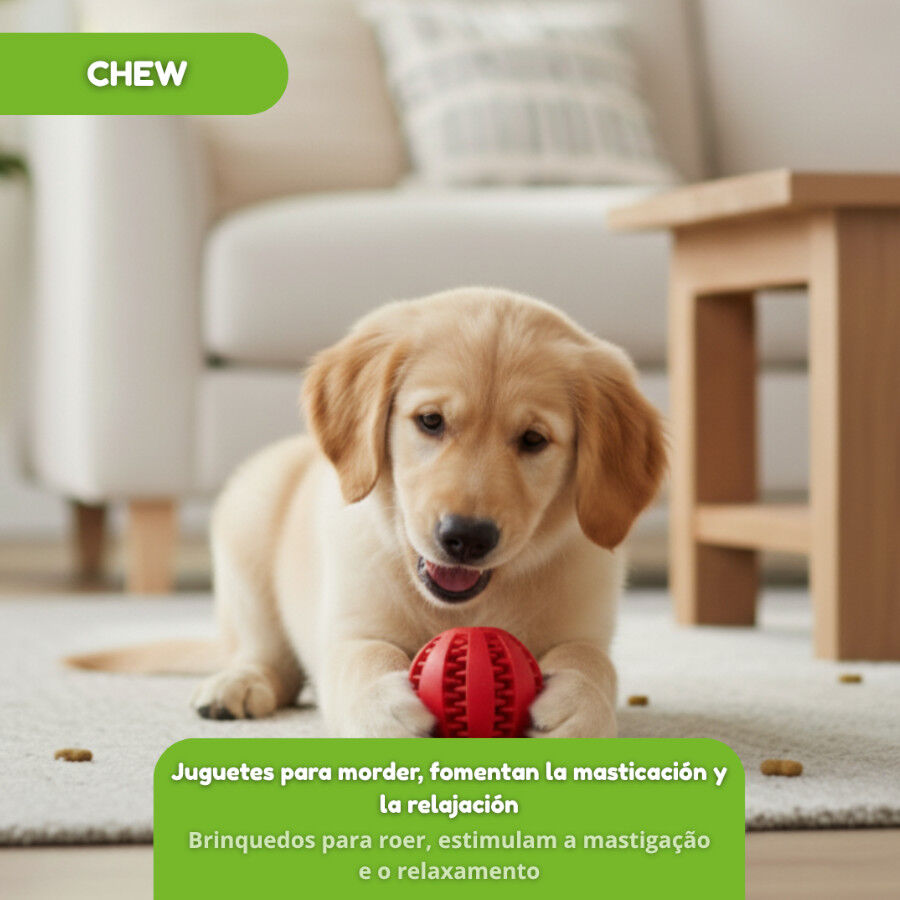 Tootoy! Pelota Portagolosinas de Goma Roja para perros, , large Imagen numero 5