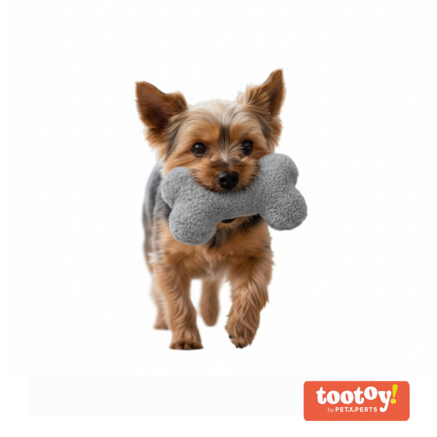 Tootoy! Hueso de Peluche con Sonido Gris para perros , , large Imagen numero 8
