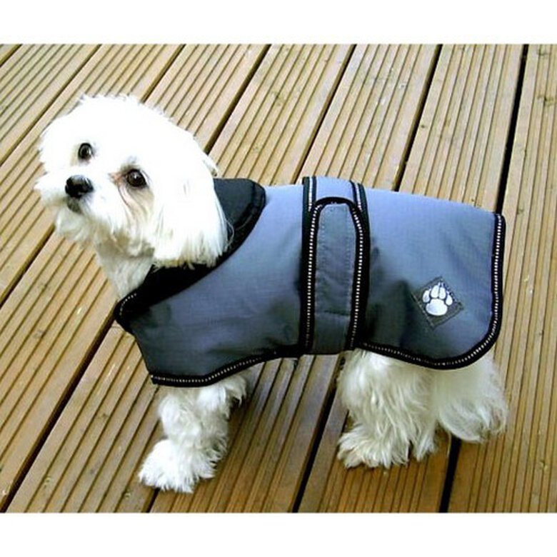 Abrigo semi-impermeable de lujo para perros color Azul polvo, , large image number null