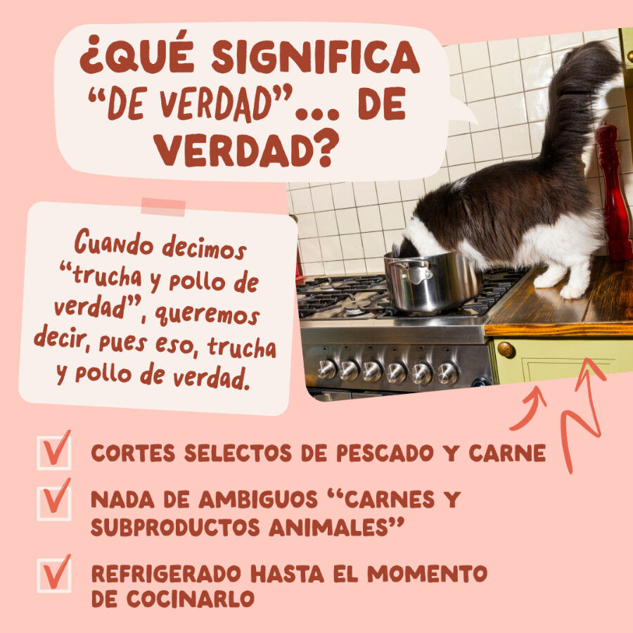 85 g Edgard & Cooper Trucha y Pollo sobre en salsa para gatos, , large Imagen numero 5