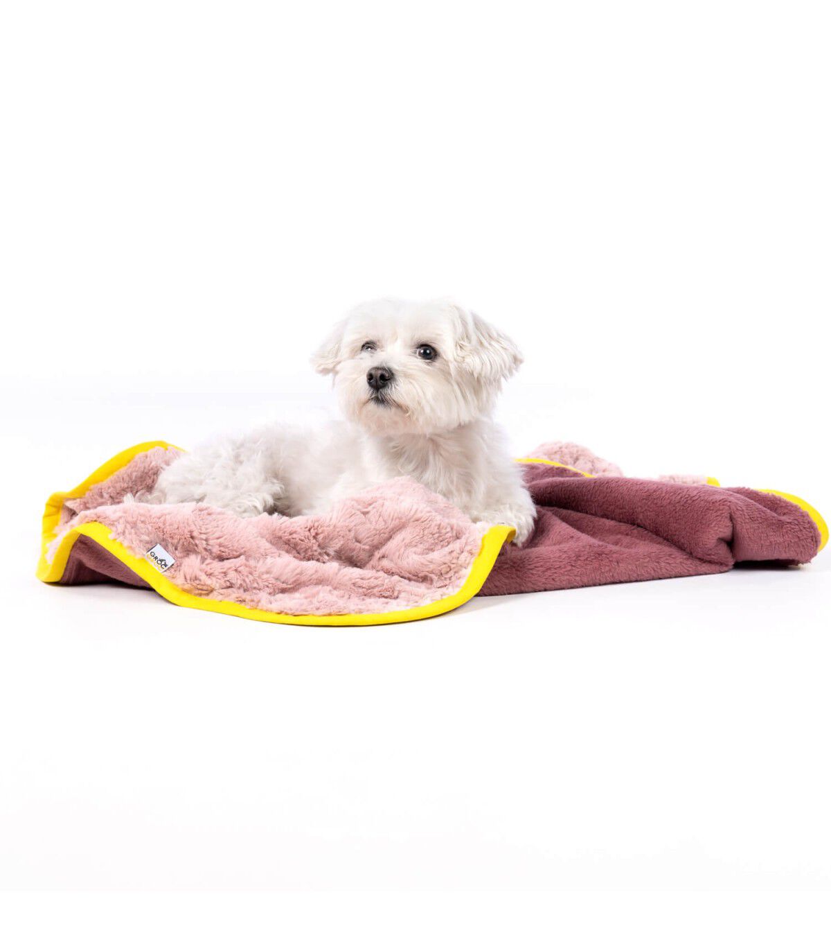 Manta para mascota Groc Groc Teddy Rosa, , large Imagen numero 1