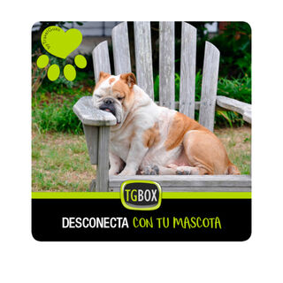 TGBOX Desconecta con tu mascota