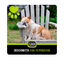 TGBOX Desconecta con tu mascota, , large indicador imagen numero 1