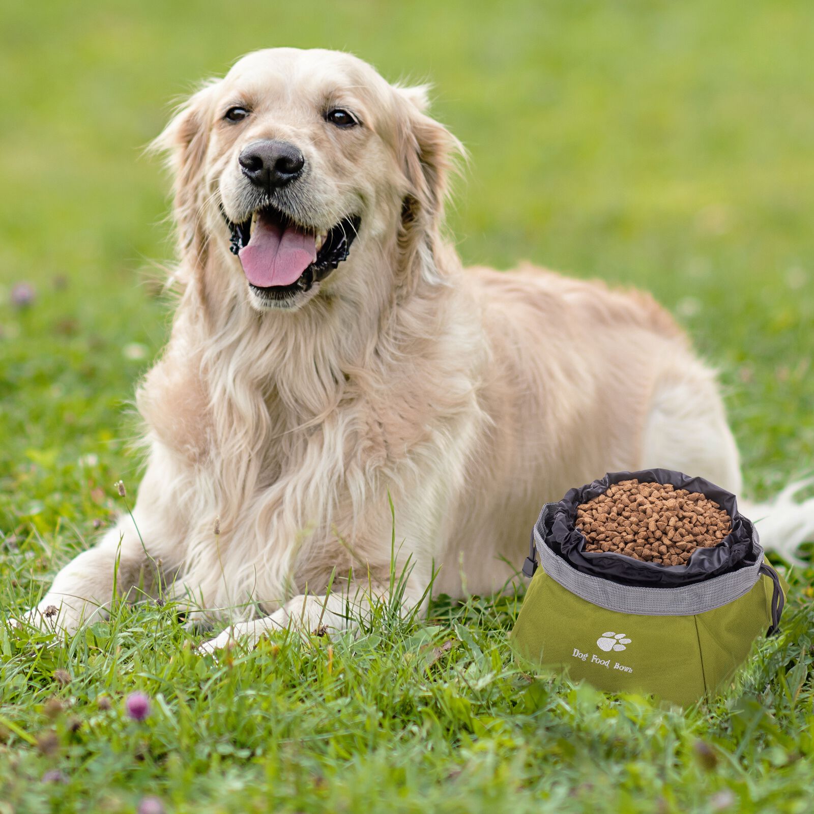 Primematik Comedero Plegable  para perros thumbnail