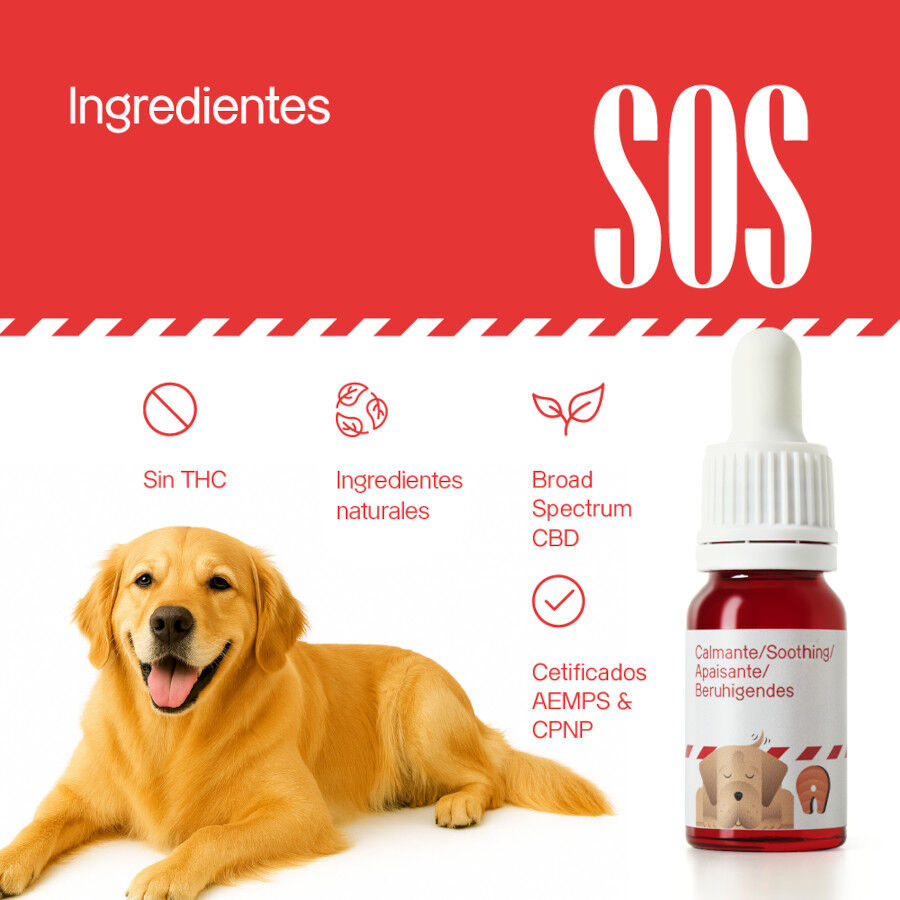 Dogs.Drops Oil 10% 1000mg CBD Salm&oacute;n, , large Imagen numero 3