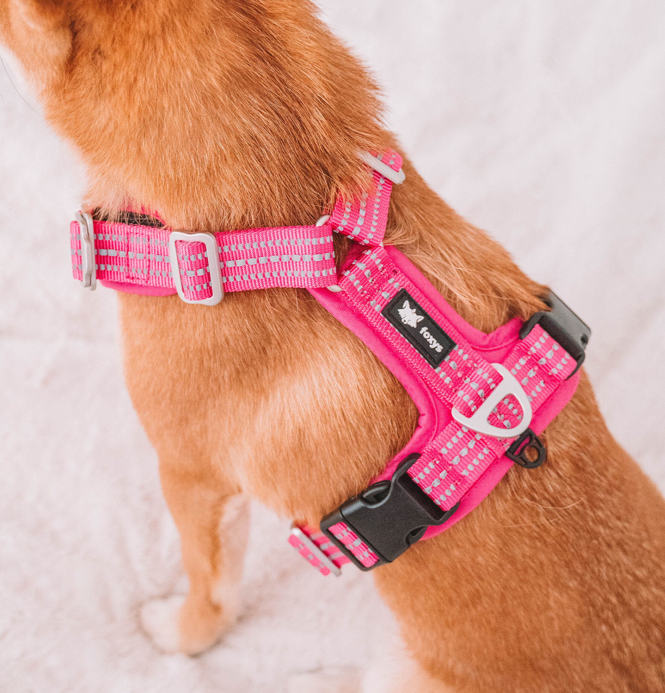 Arnés Foxys Antitirones con hebillas aluminio reforzadas color Rosa thumbnail