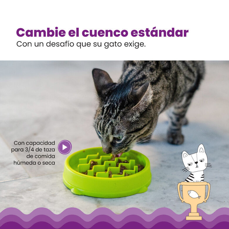 Catstages Cat Fun Comedero Lento Verde para gatos thumbnail