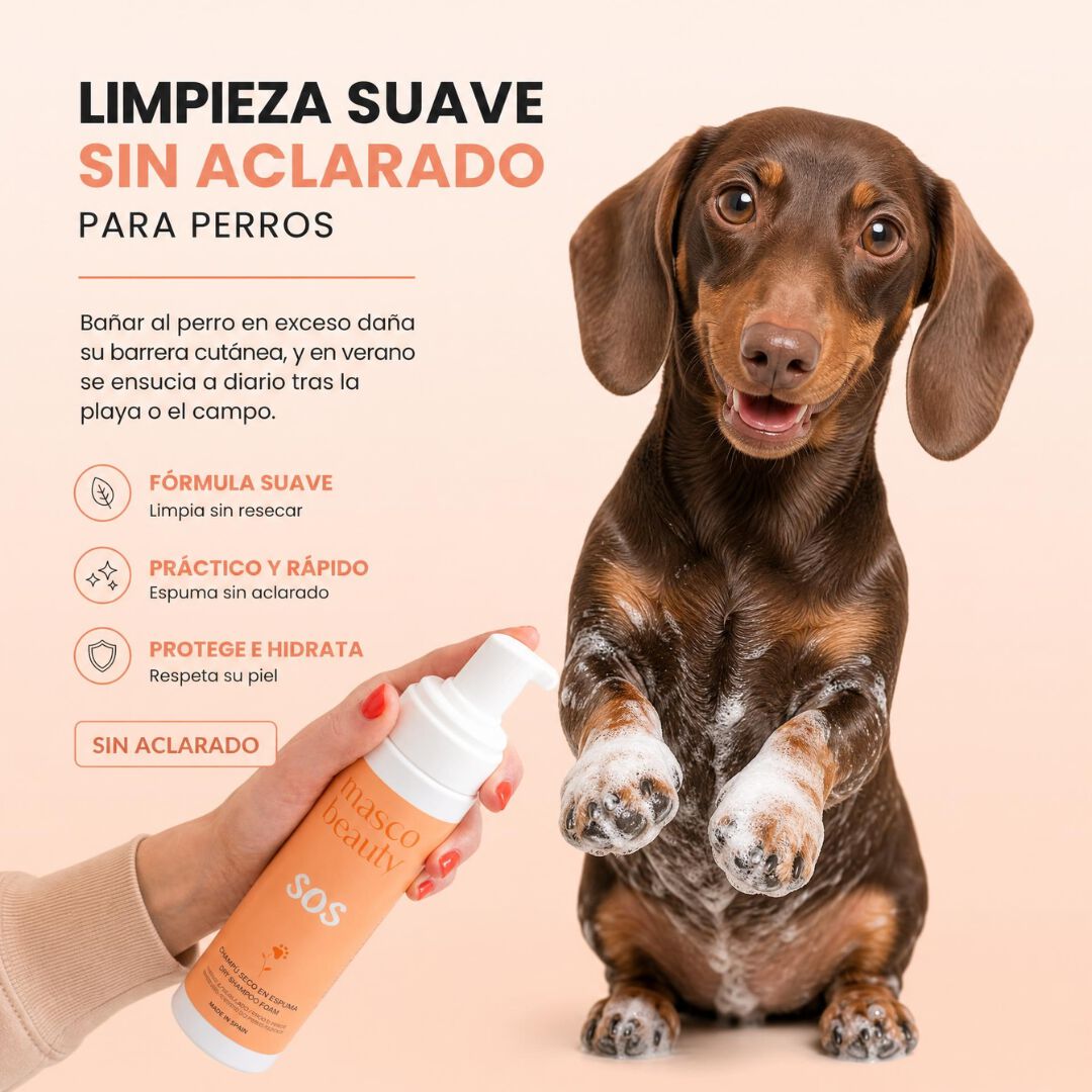 Champ&uacute; Seco en Espuma para perros &middot; Sin agua y sin aclarado &middot; Limpia y refresca al instante &middot; Ideal playa, piscina y paseos &middot; Aloe Vera &middot; Hecho en Espa&ntilde;a, , large Imagen numero 3