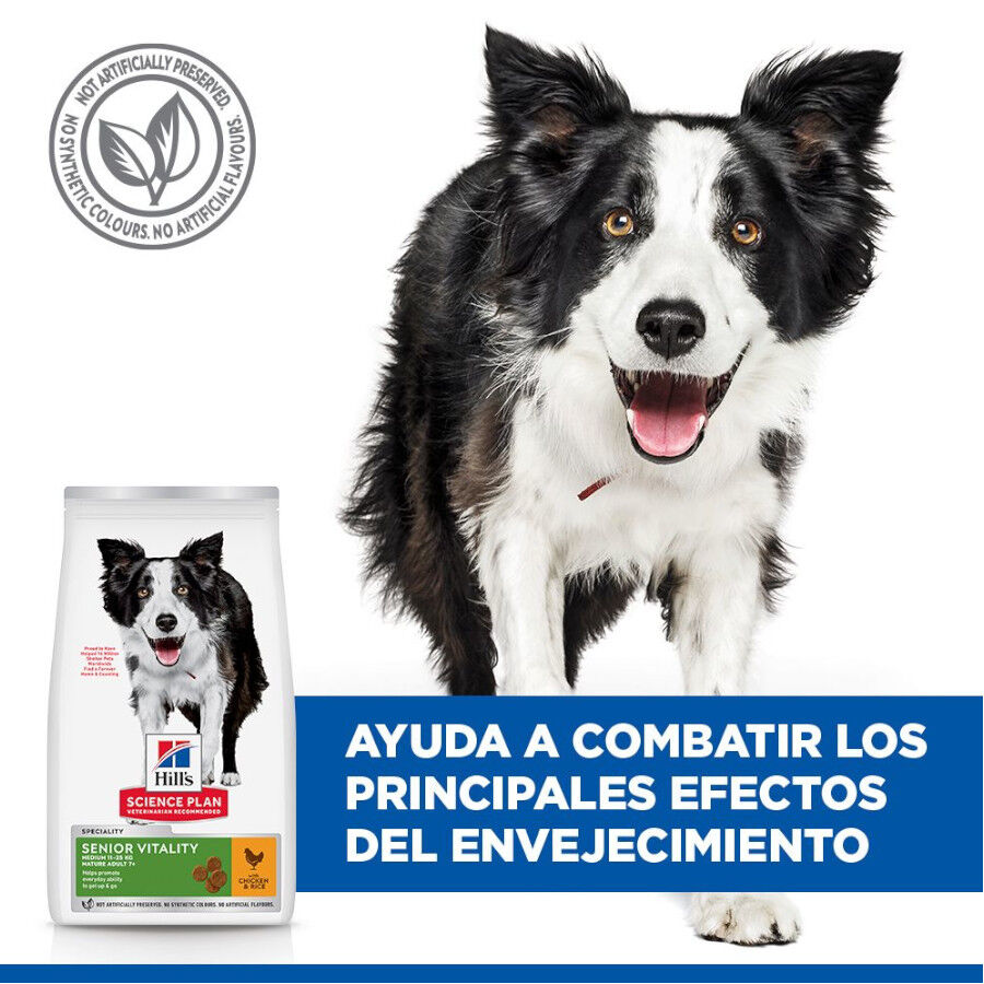 Hill&#039;s Science Plan Youthful Vitality Medium Adult Pollo pienso para perros thumbnail