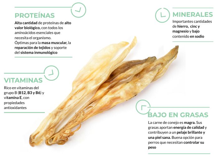 Oreja de conejo sin pelo, , large Imagen numero 2