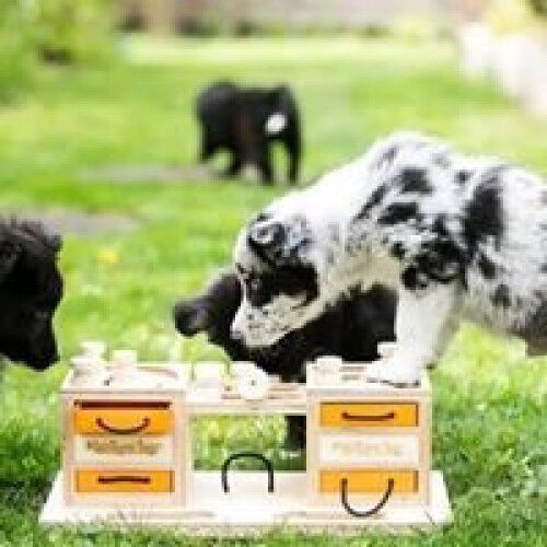 Juguete inteligente para perros Two Towers niveles, , large Imagen numero 1