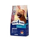 Club 4 Paws Pienso seco para perros Cordero y Arroz , , large image number null