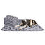 Nobleza – Manta suave de felpa para perros, gatos y otras mascotas. Lavable. 6 unidades. Color gris, 160 * 100 cm, , large indicador imagen numero 1
