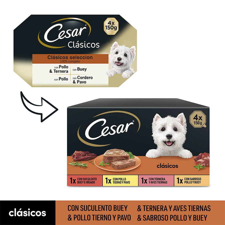 4 tarrinas x 150 g Cesar Selecci&oacute;n Clasicos Tarrina en Pat&eacute; para Perros , , large Imagen numero 2
