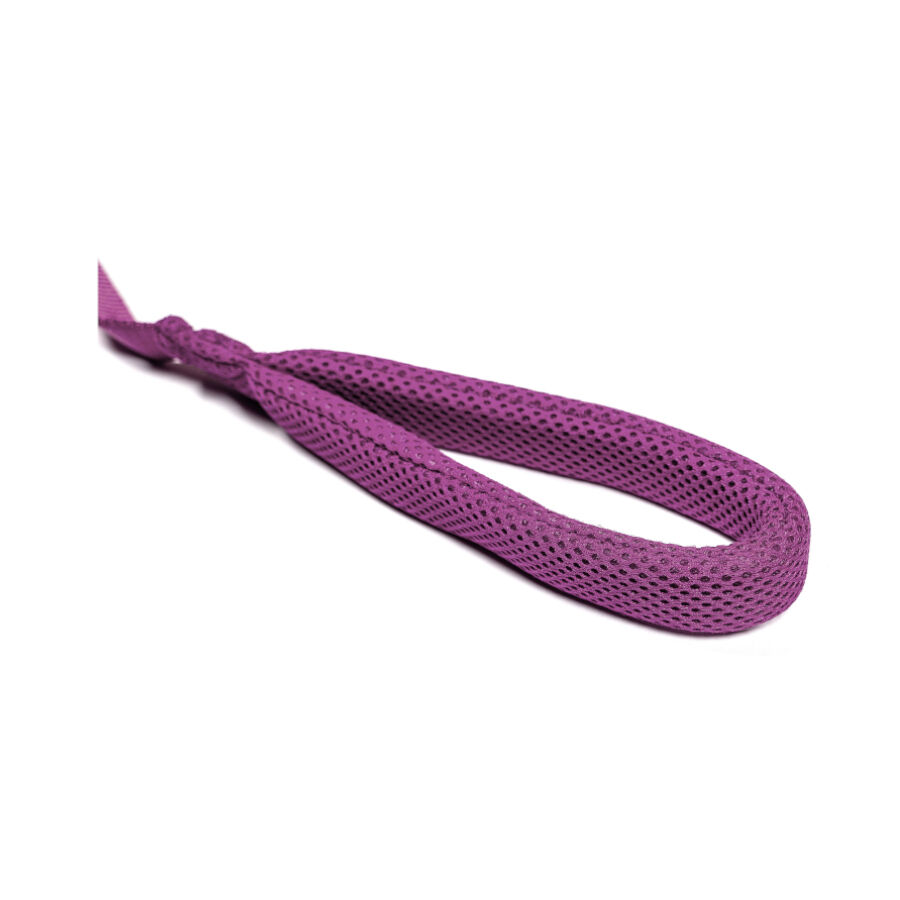 Gloria Air Mesh Trek Star Correa Morada para perros, , large Imagen numero 3