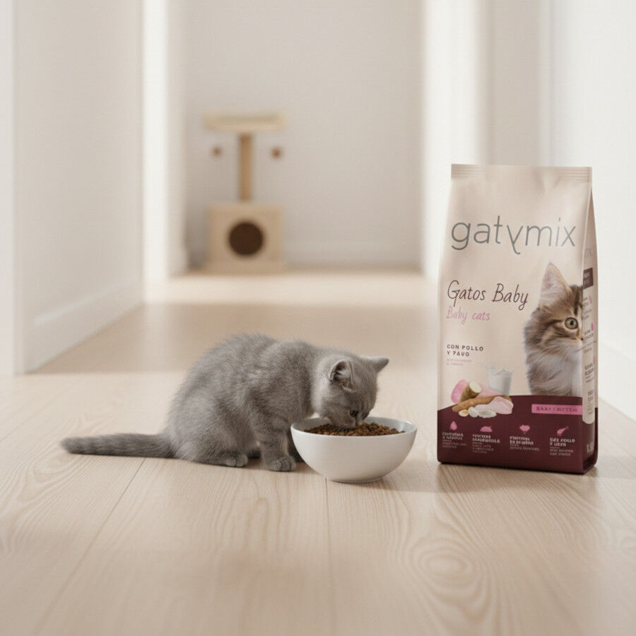 1,5 Kg Dibaq Gatymix Pienso Pollo para gatitos, , large Imagen numero 2