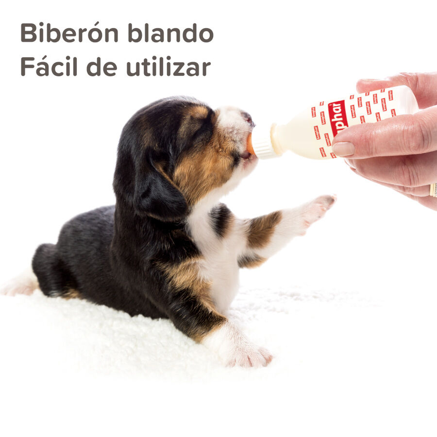 Beaphar Lactol Kit Biber&oacute;n para mascotas, , large Imagen numero 3