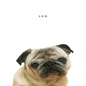 Retrato personalizado A4 de tu mascota color Blanco