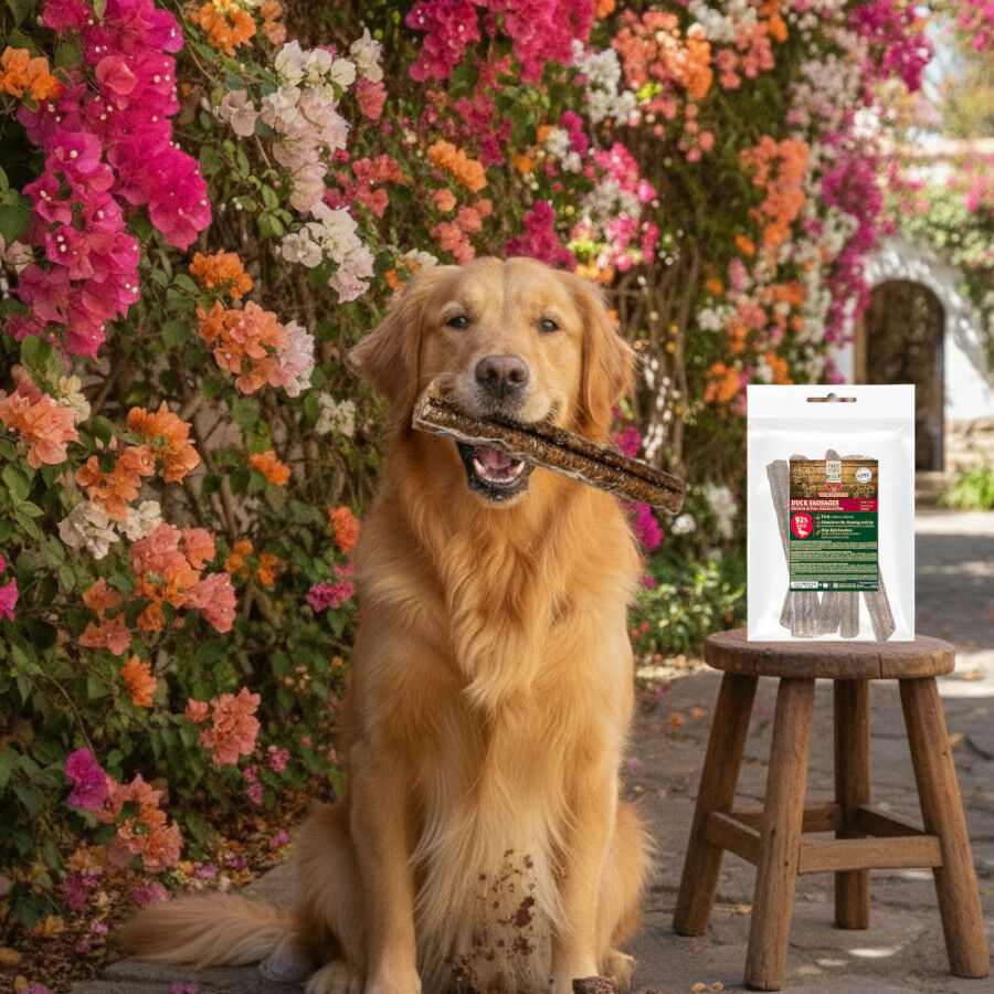 True Origins Salchichas de Pato Snack para perros, , large Imagen numero 1