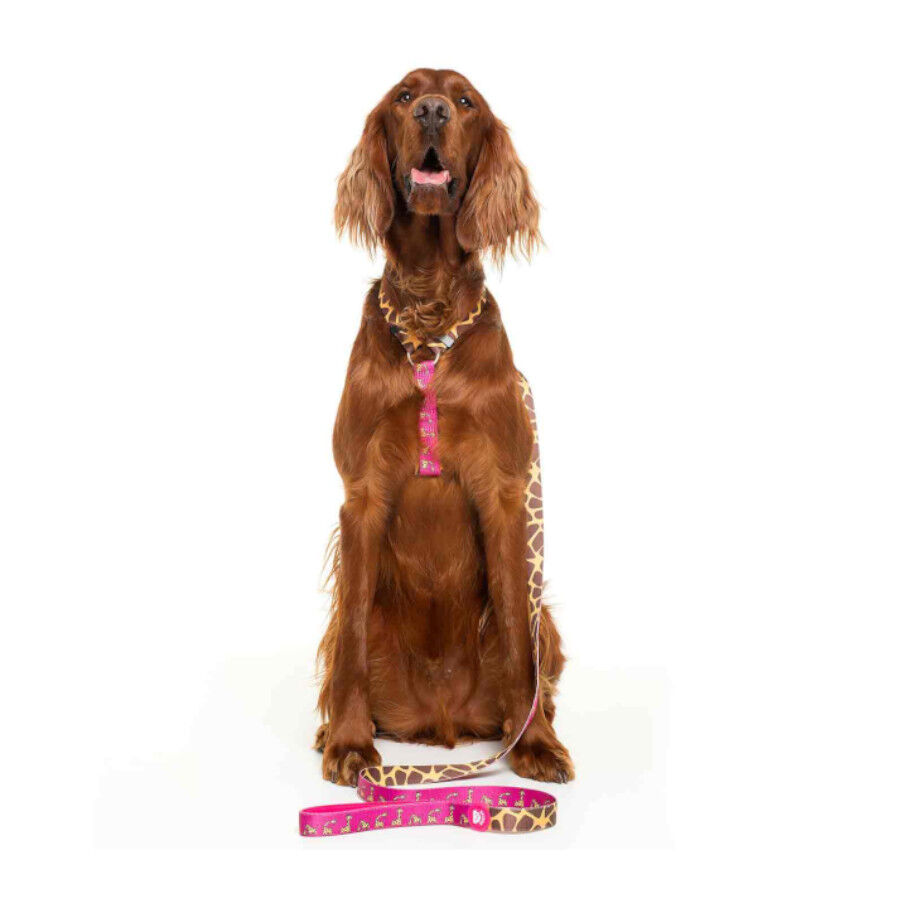 Dukier Savana Arn&eacute;s Cl&aacute;sico Estampado Jirafas para perros, , large Imagen numero 2