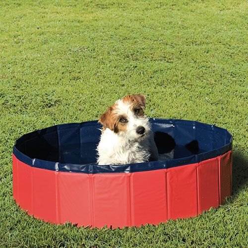 Ibañez Piscina mediana para perro
