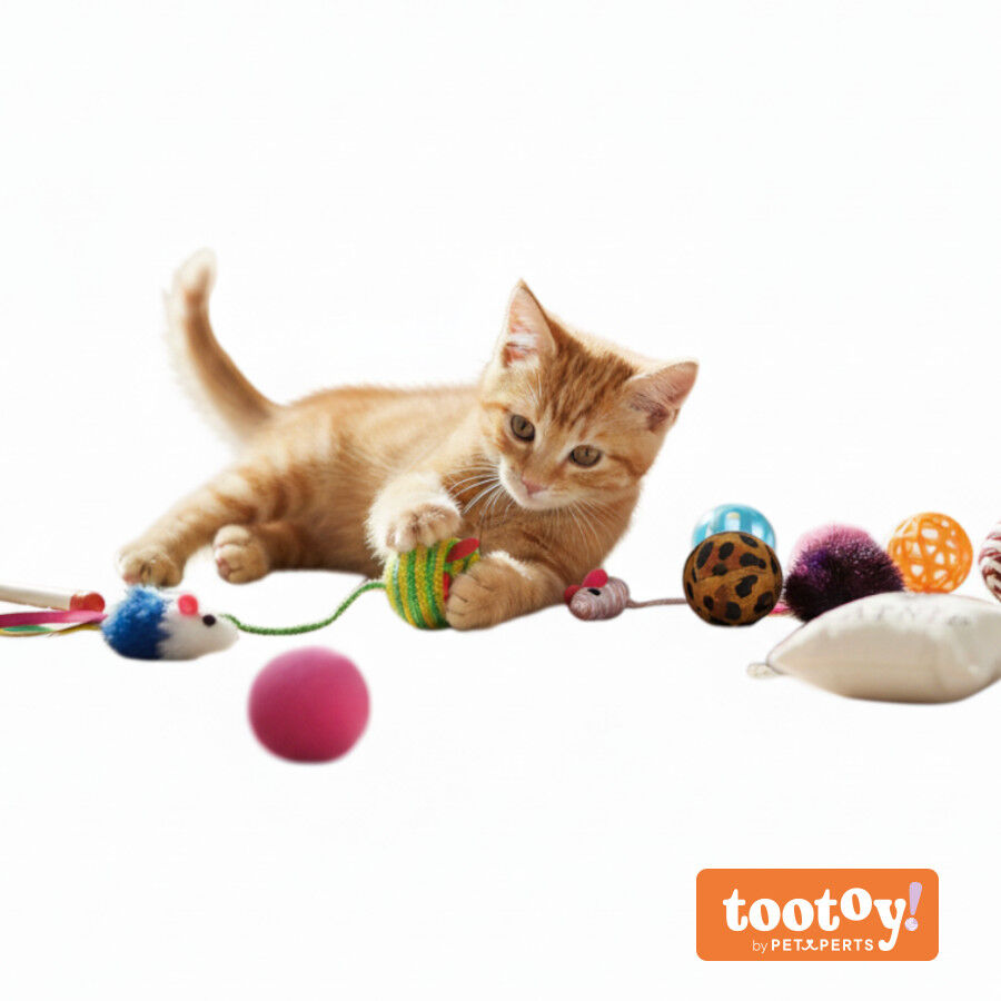 Tootoy! Pelotas de Colores para gatos, , large Imagen numero 7