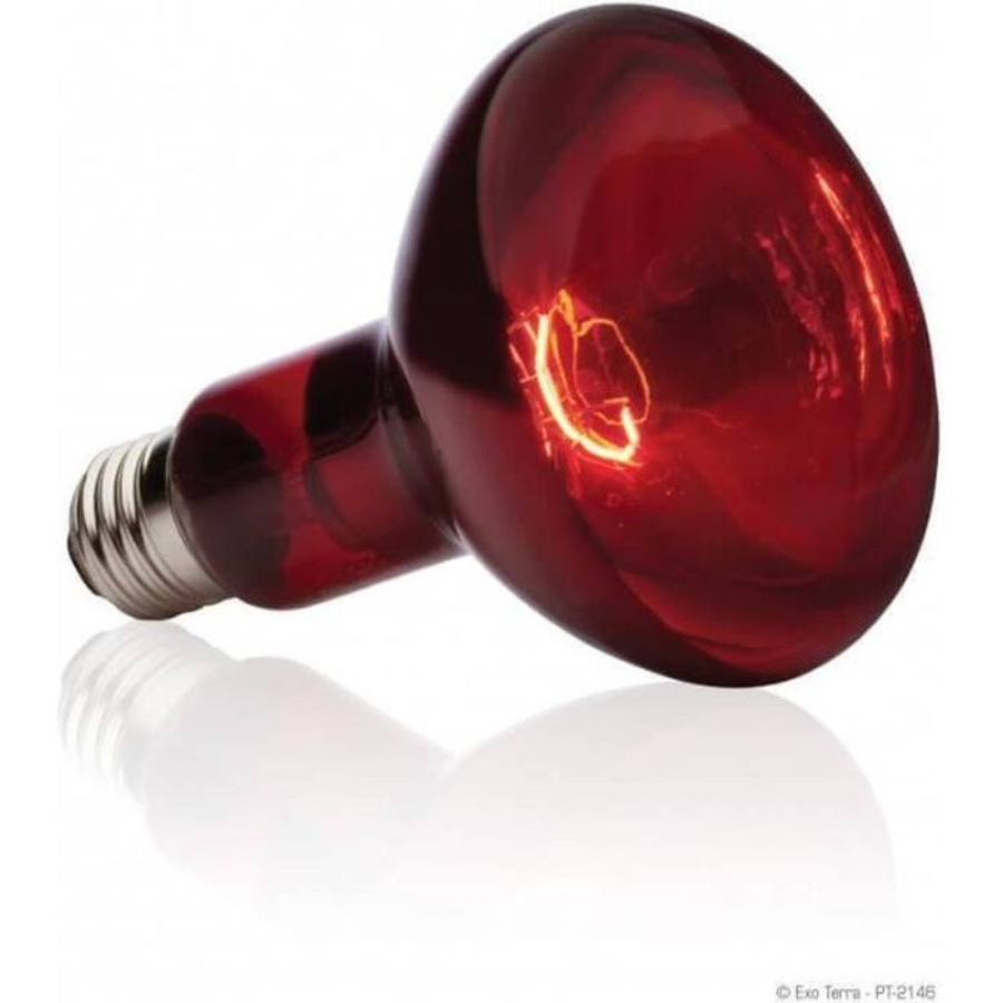 Exoterra Bombilla para reptiles Infrared Basking Spot, , large Imagen numero 3