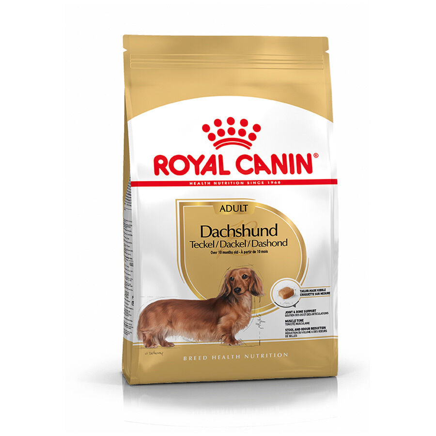 Royal Canin Adult Dachshund pienso para perros thumbnail