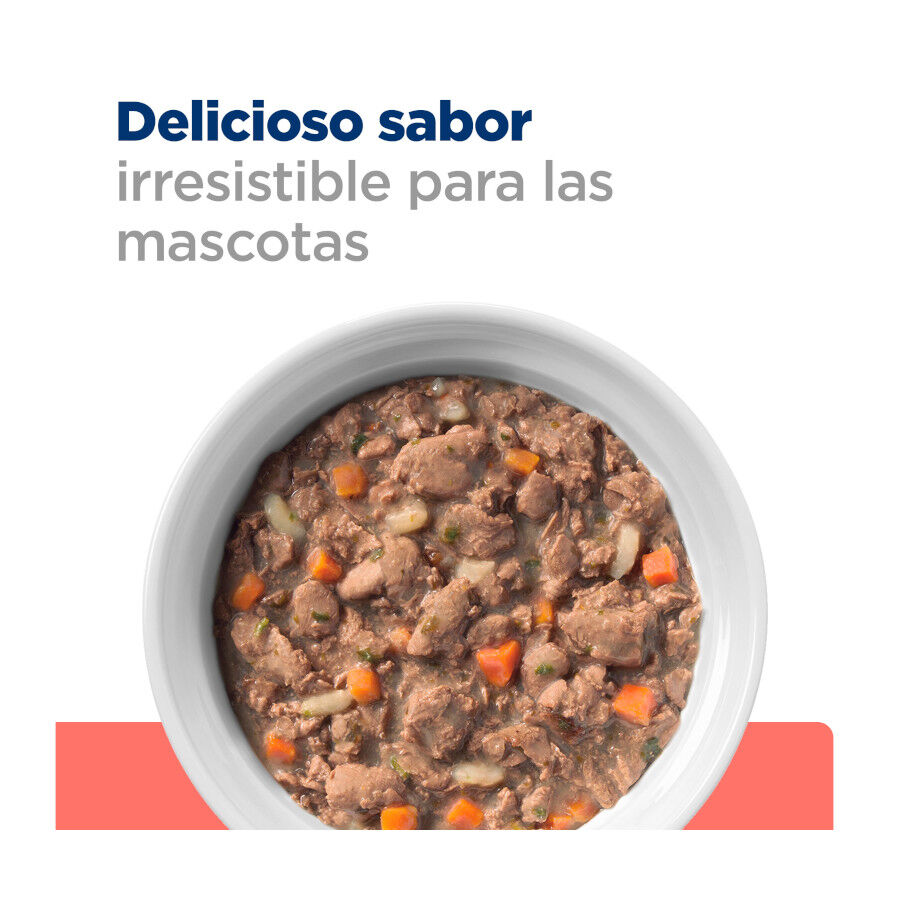 Hill&#039;s Prescription Diet Feline Estofado con Pollo y Verduras para Gatos Adultos thumbnail